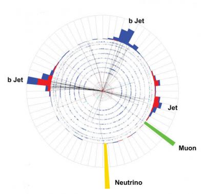 Fermi DZero Single Top Quark Candidate Event Fermi DZero Single Top Quark Candidate Event